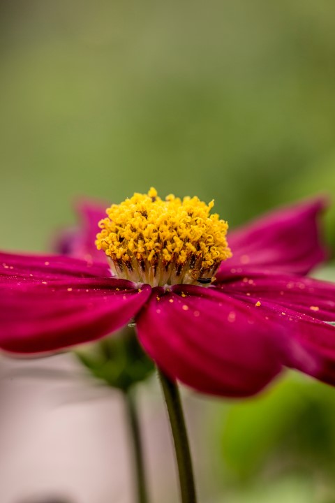 blog-thumbnail