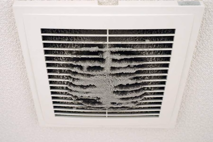 Trusted IAQ Services in Mesa